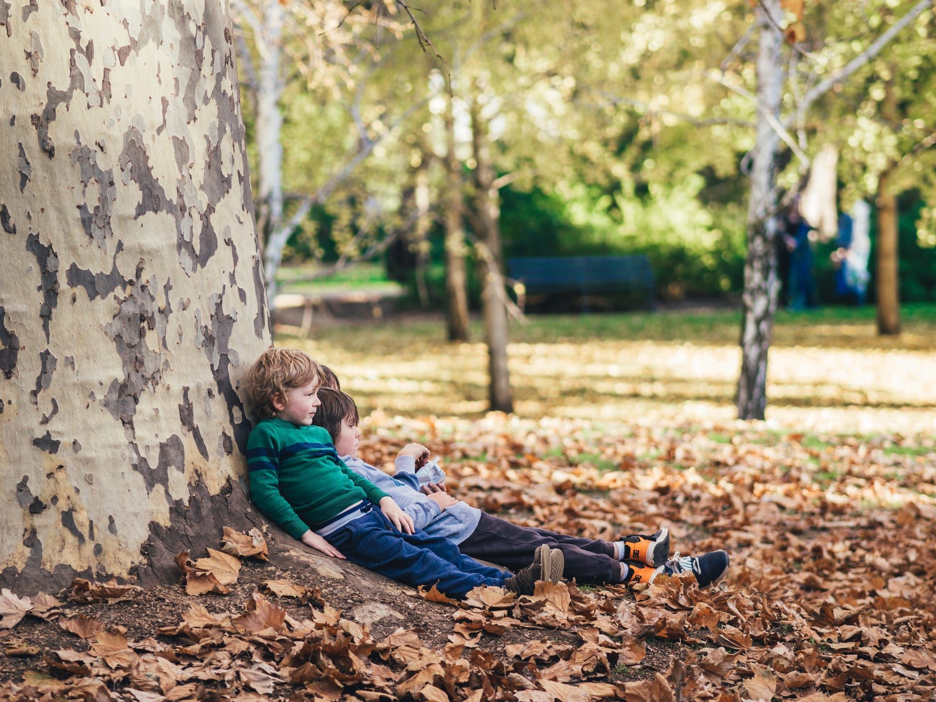 Enjoying time outdoors among the trees